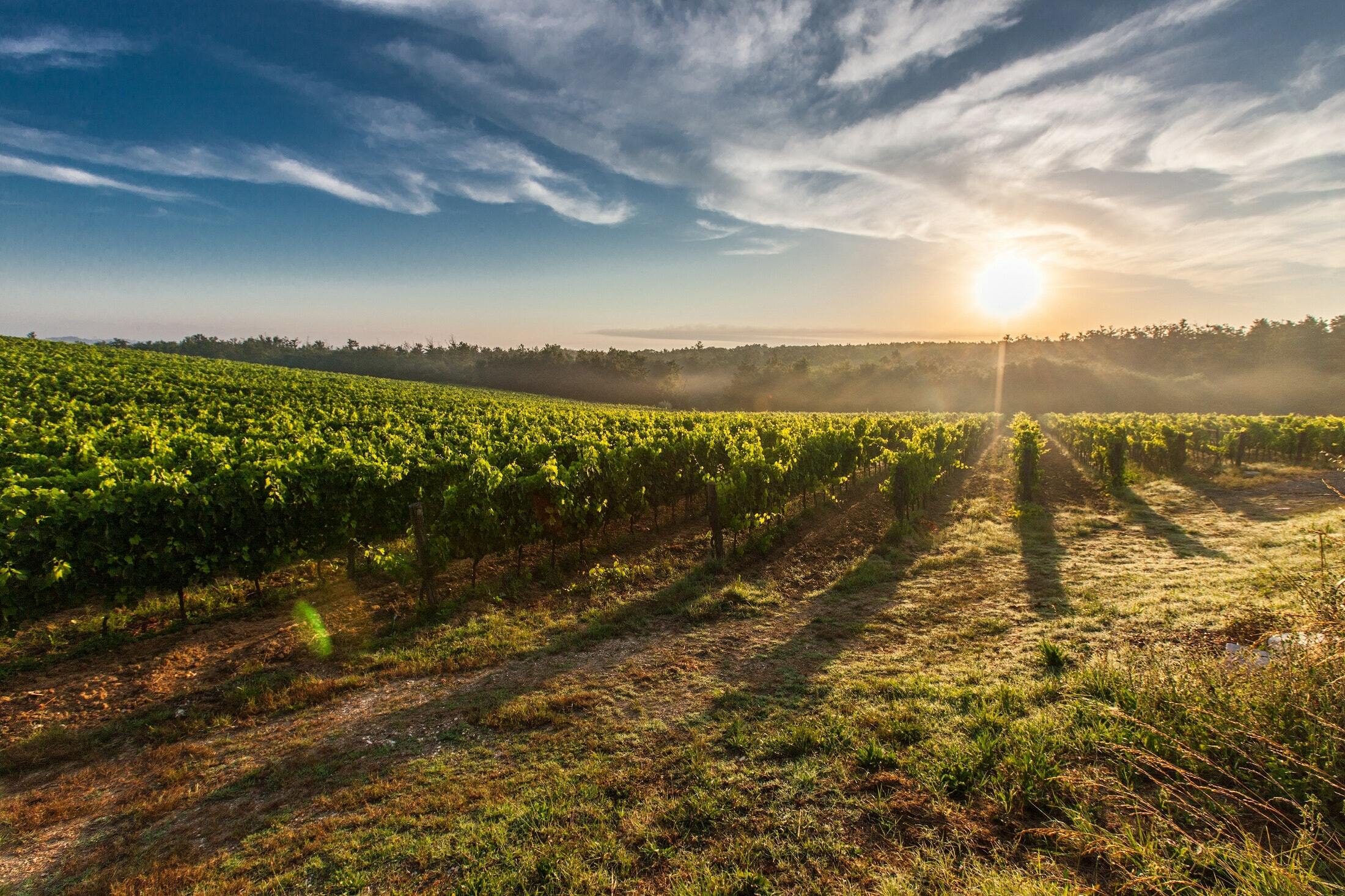 soulful features soulful features,soulful grande manor,hunter valley
